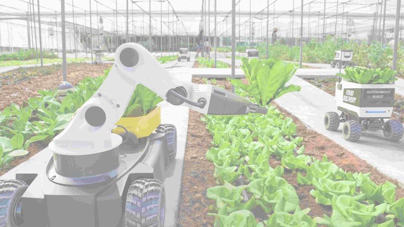 Roboter pflegen Salatpflanzen