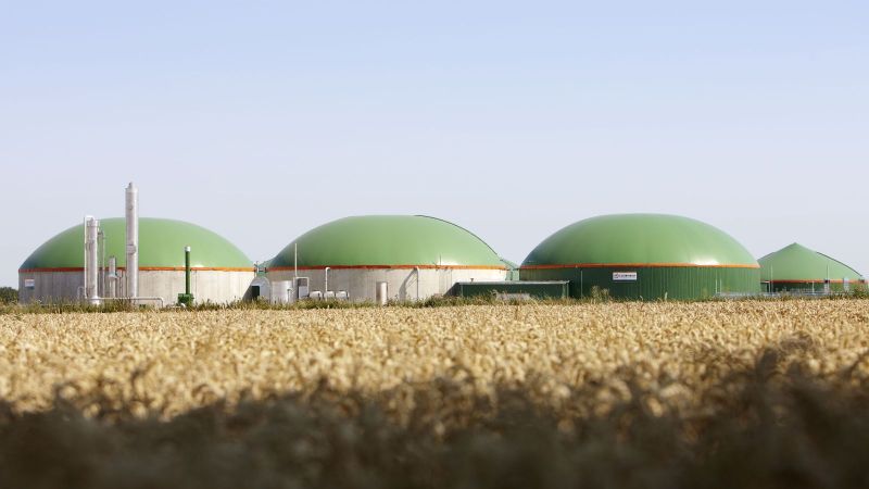 Biogasanalgen in Vettweiß