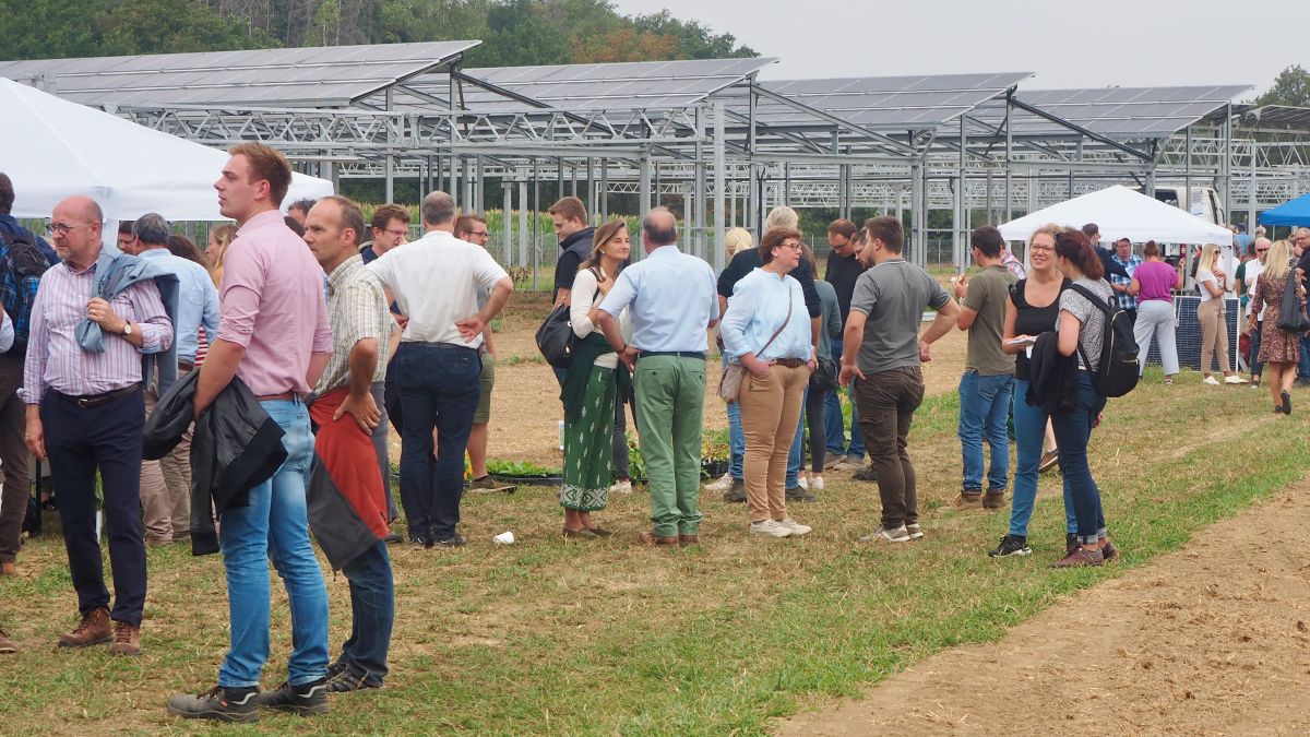 Besuchende beim 1. Bioökonomie-Feldtag im Rheinischen Revier auf einem Feld in Morschenich-Alt, im Hintergrund eine Agri-Horti-Photovoltaik-Anlage